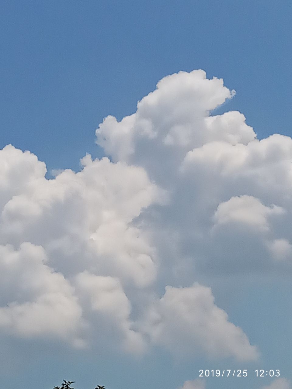20190824_288605_1566642723103.jpg