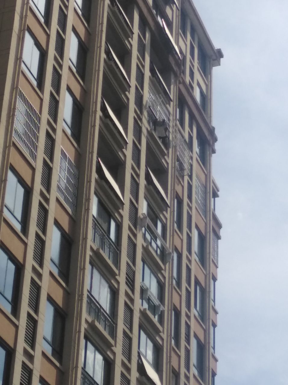 20190827_219002_1566871764460.jpg