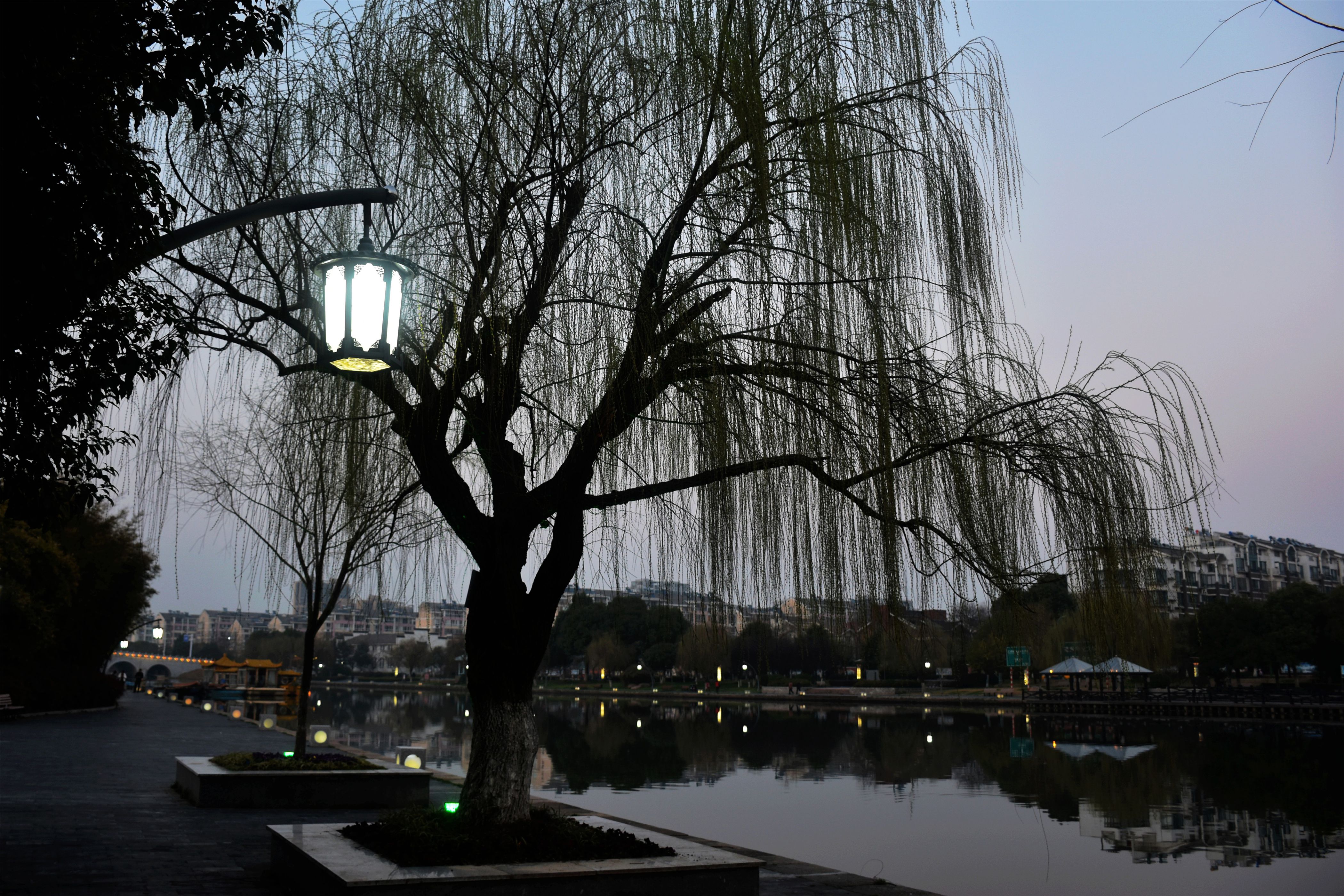 DSC_0045.JPG