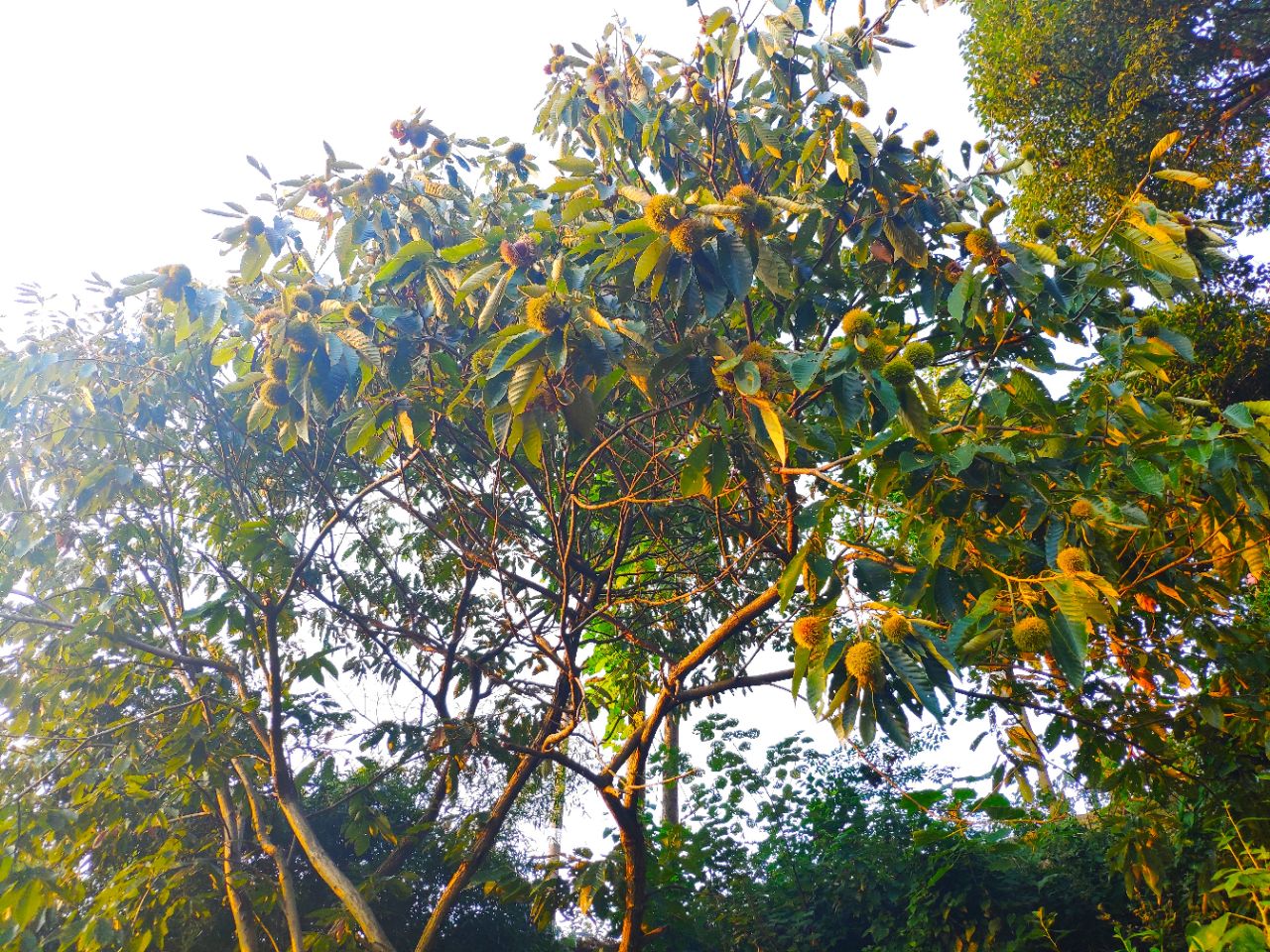 20190907_235798_1567855137152.jpg