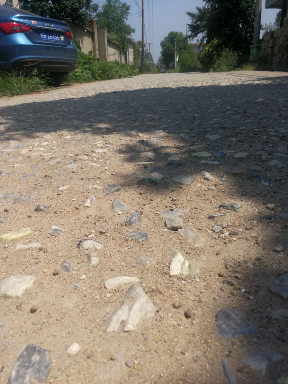 20190908_272759_1567916768729.jpg