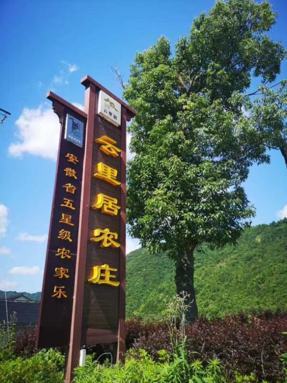图片11.png