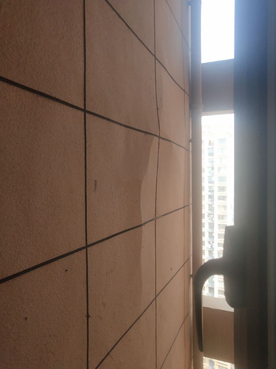 20190918_327163_1568802703176.jpg