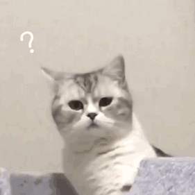 20190923_268466_1569226455311.gif