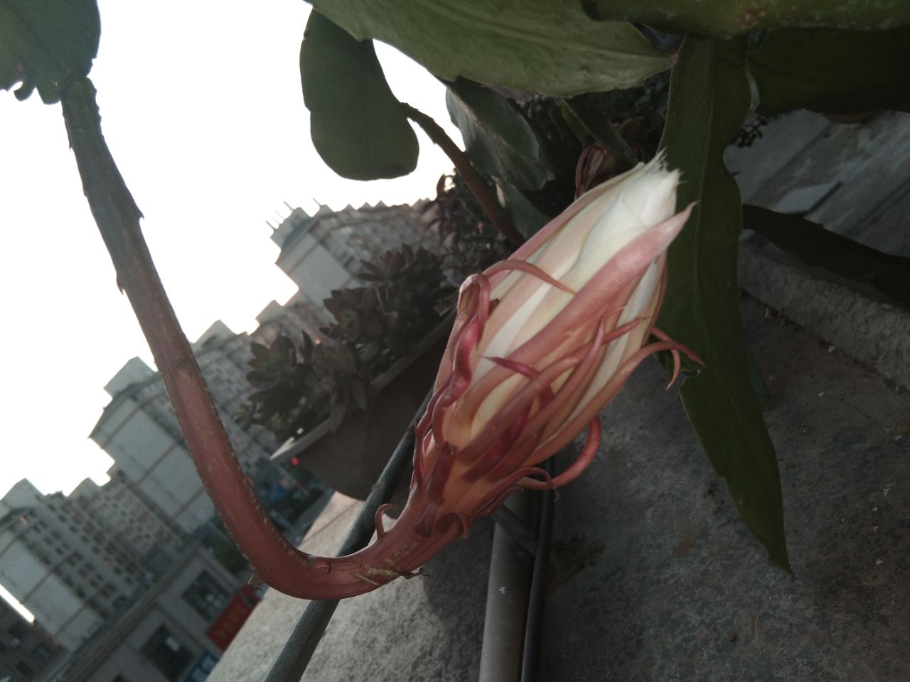 20190923_310780_1569232325753.jpg