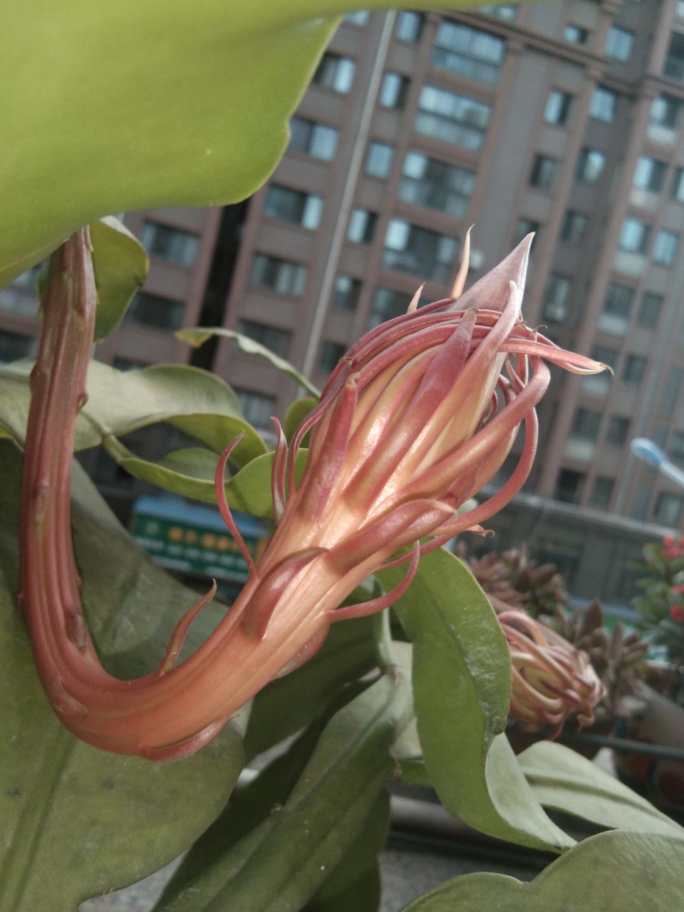 20190923_310780_1569232325300.jpg