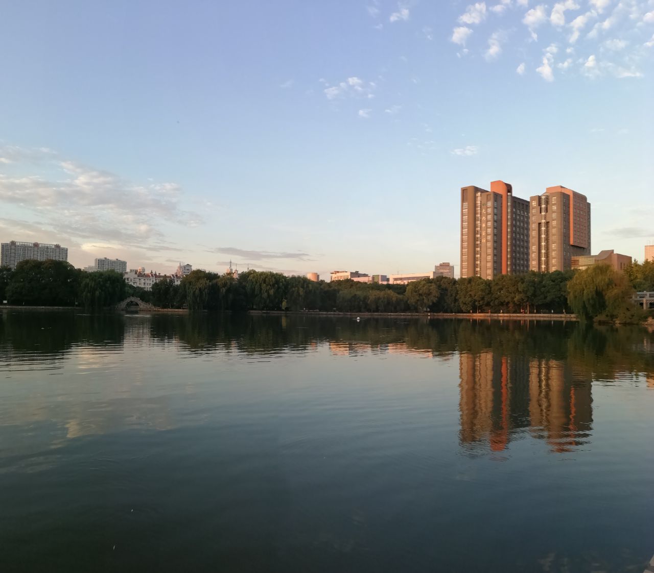 20190924_233786_1569277408408.jpg