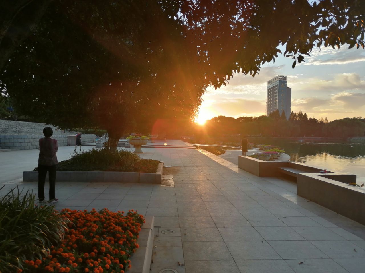 20190924_233786_1569277409180.jpg