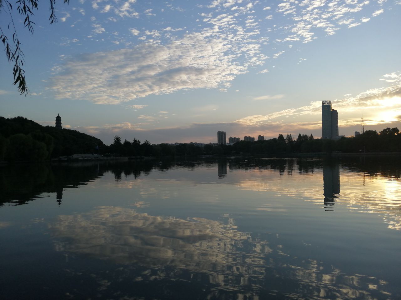 20190924_233786_1569277409834.jpg