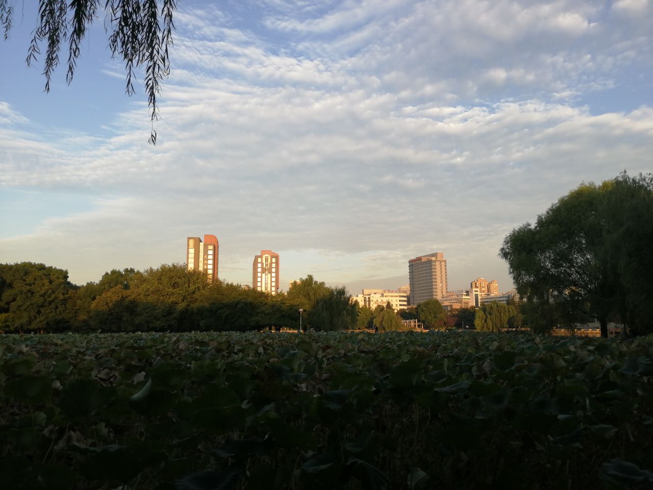 20190924_233786_1569277809592.jpg