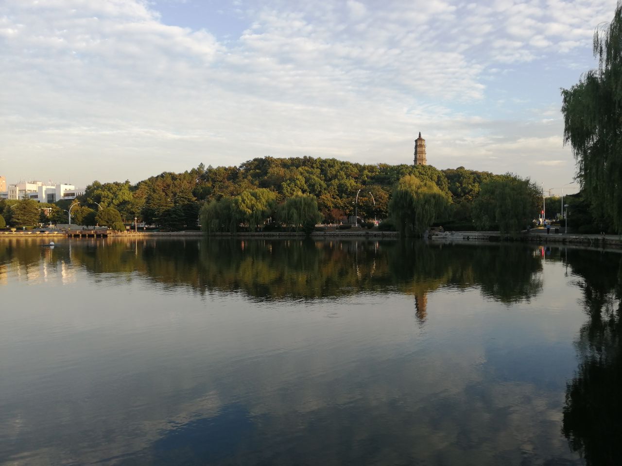 20190924_233786_1569277809816.jpg