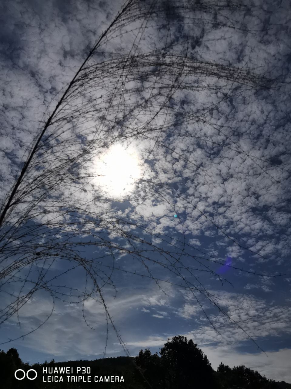 20190924_259460_1569295746321.jpg