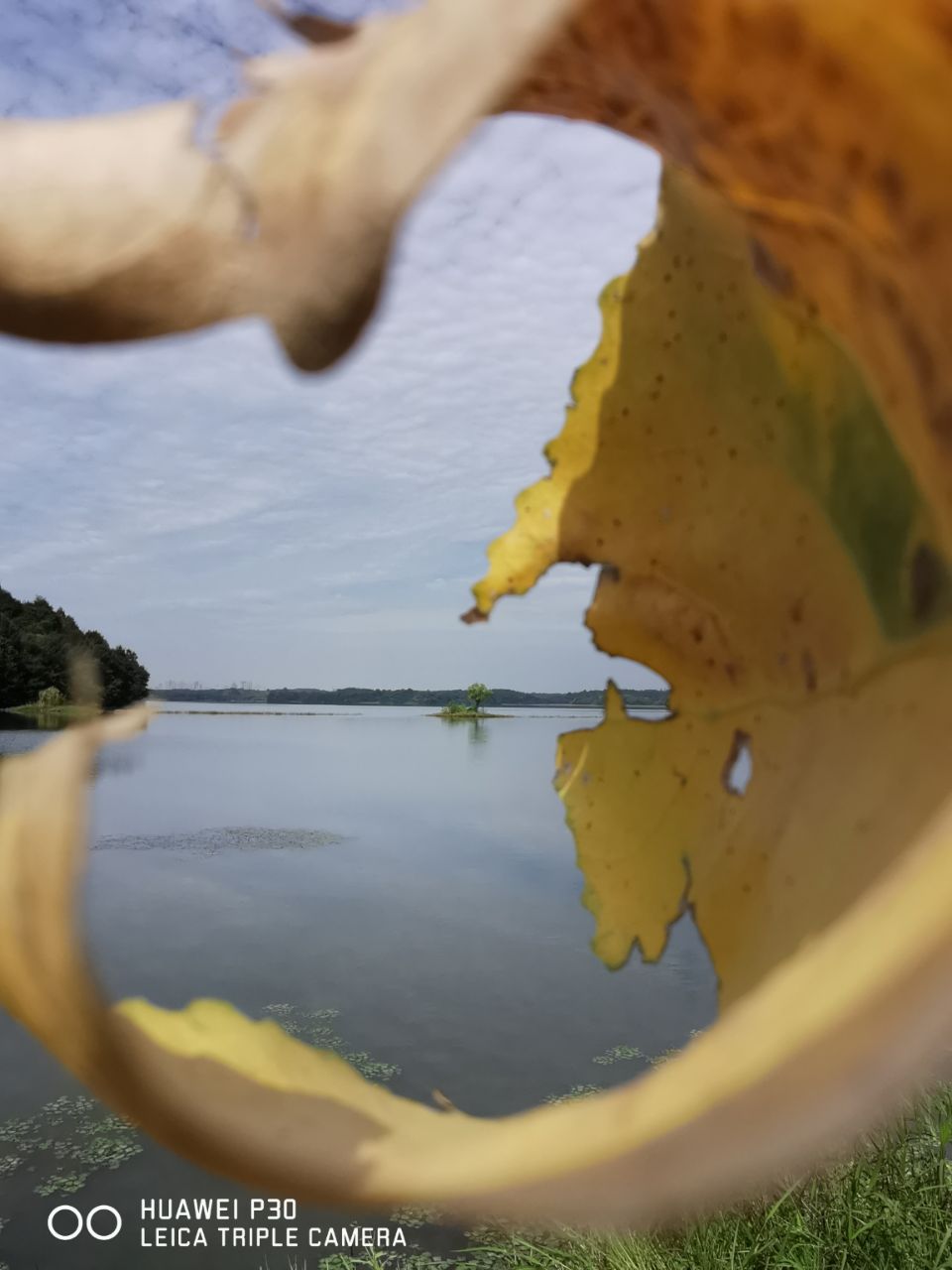 20190924_259460_1569295746902.jpg