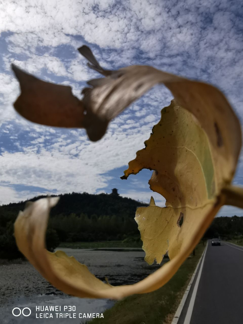 20190924_259460_1569295747040.jpg