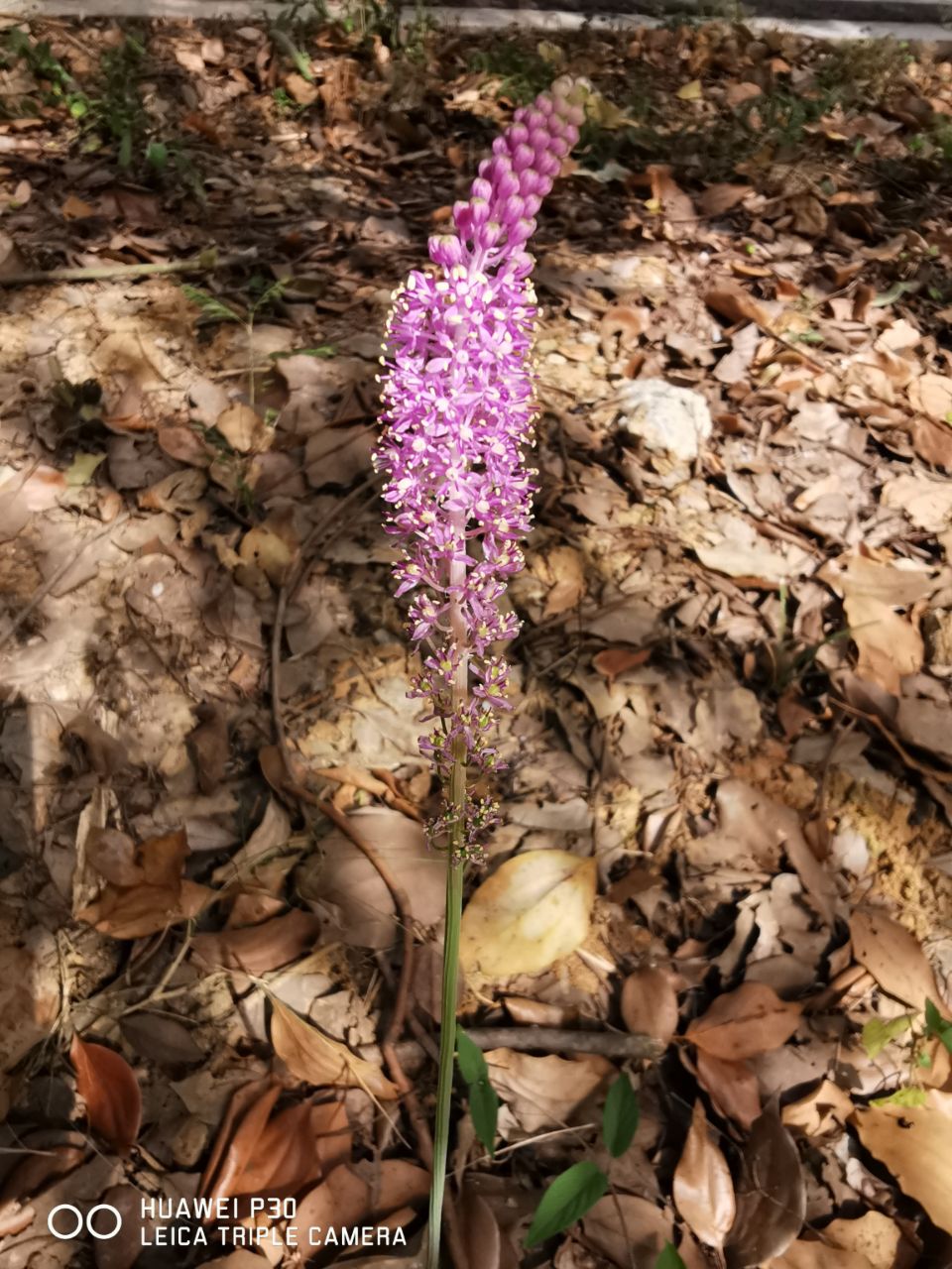 20190924_259460_1569295747169.jpg