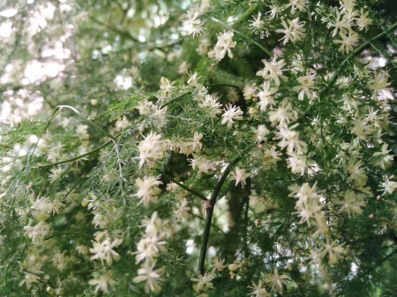 20190924_261788_1569296744906.jpg
