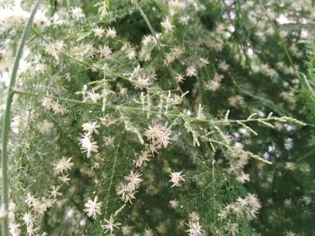 20190924_261788_1569296744813.jpg