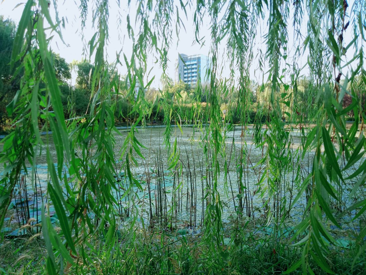 20190924_26941_1569298569470.jpg