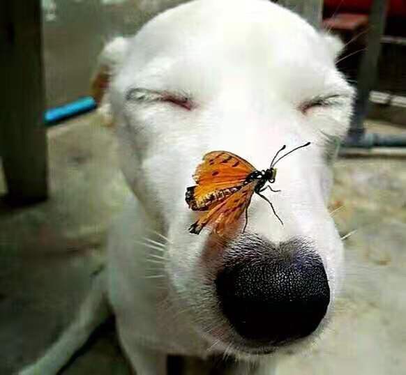 201909262759141569478494463188.jpg