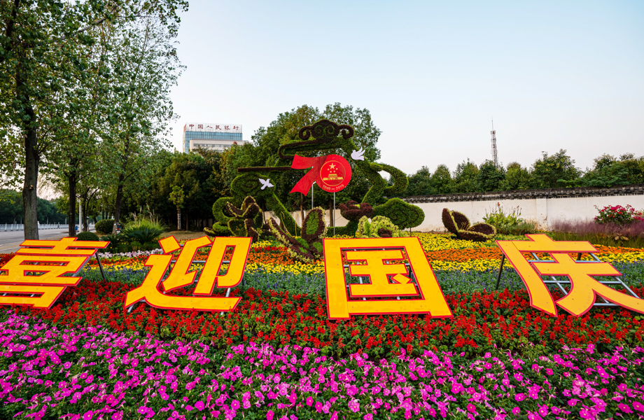 未命名-8300.jpg