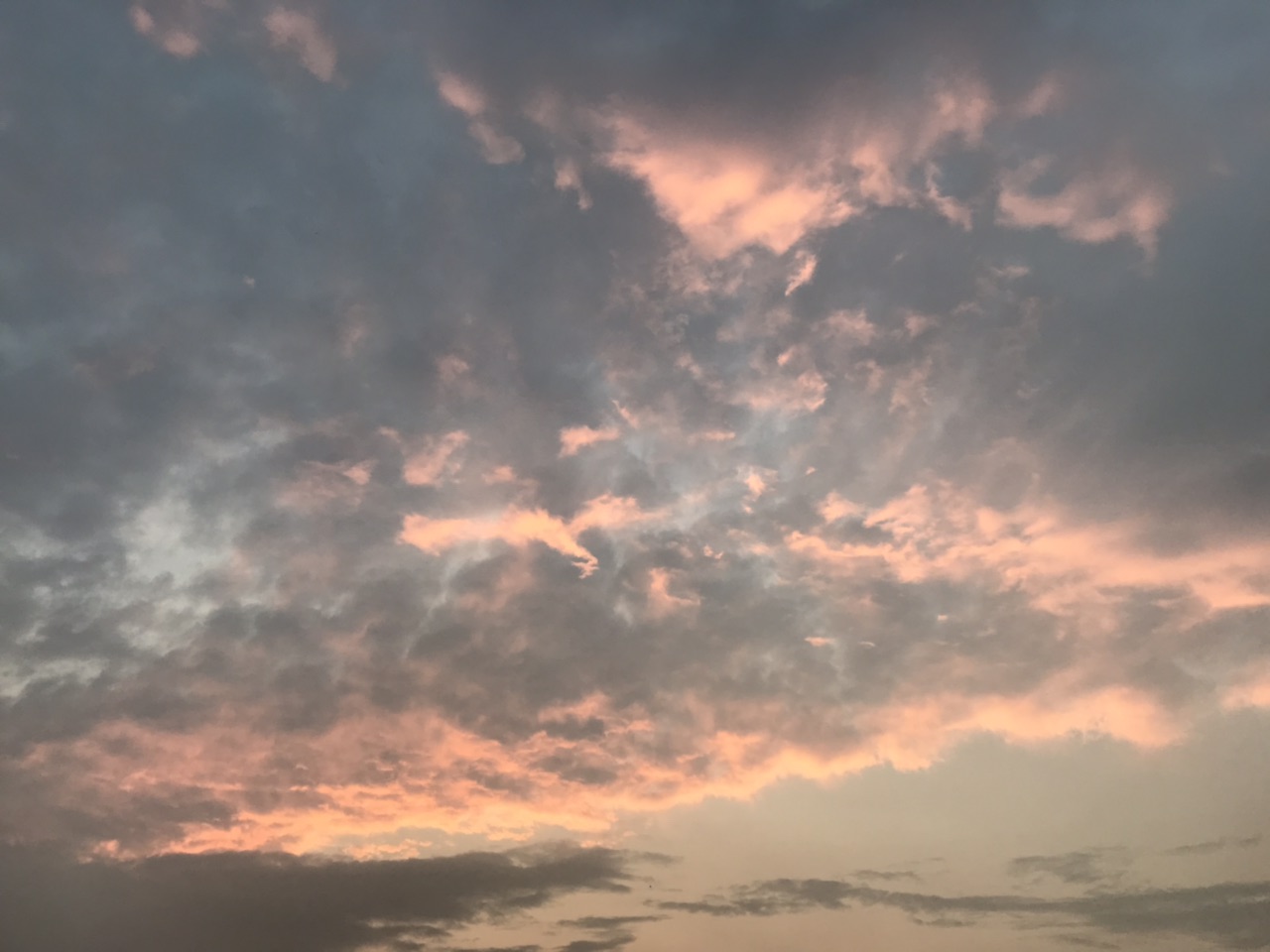 201909303093061569803008374982.jpg