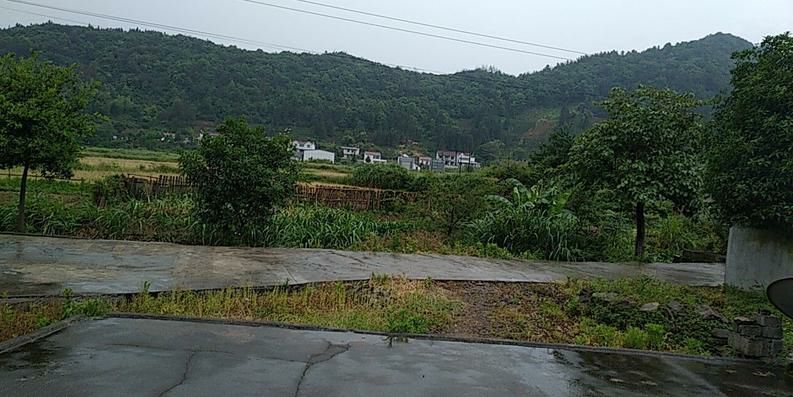 20190930_325795_1569803979075.jpg