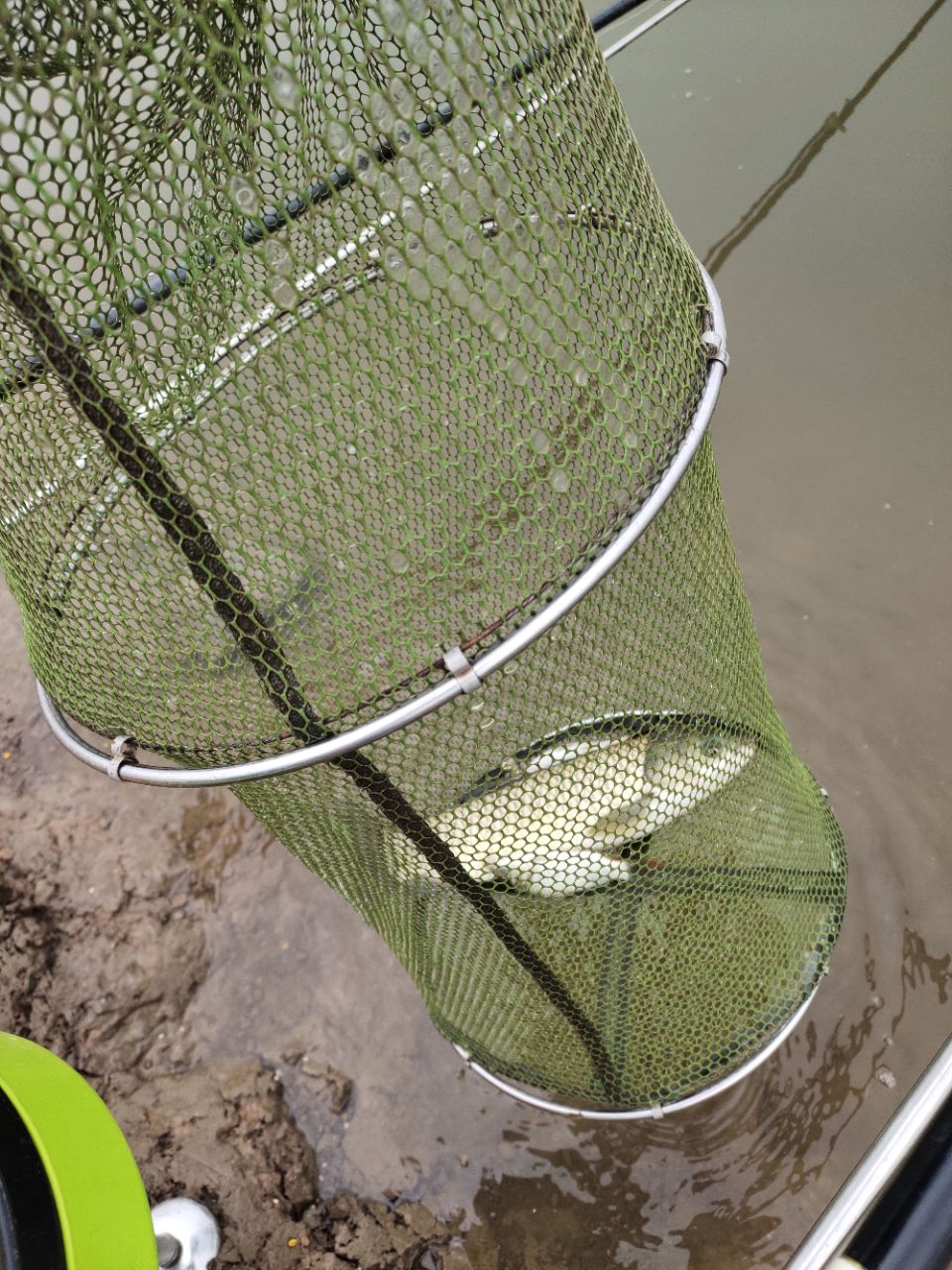 20191002_238523_1570000647072.jpg