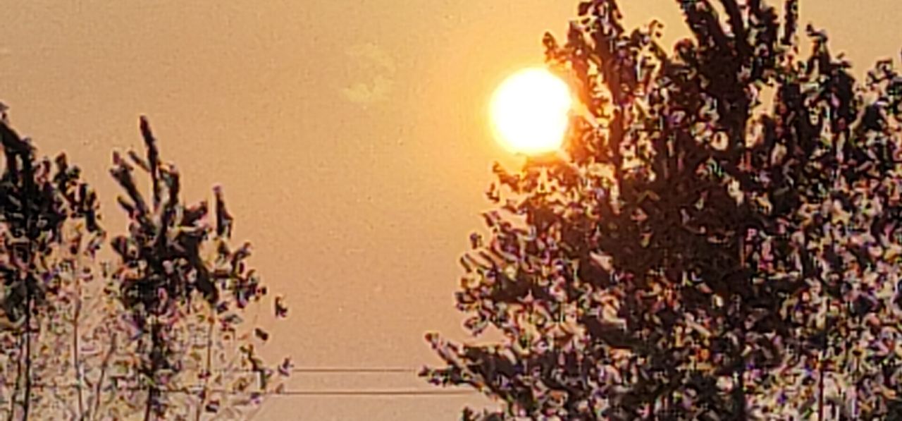 20191003_208569_1570053042488.jpg