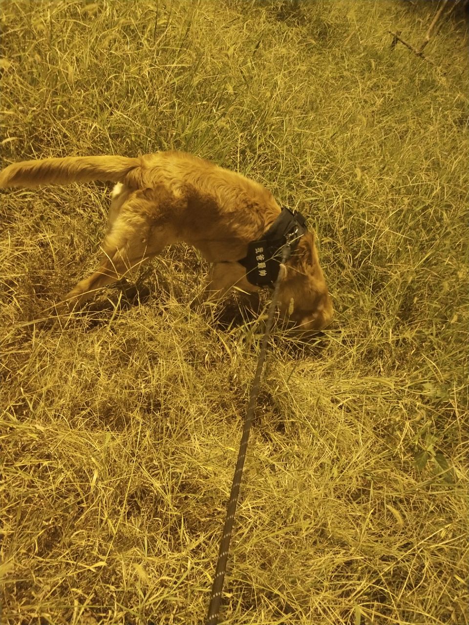 20191007_291761_1570447752585.jpg