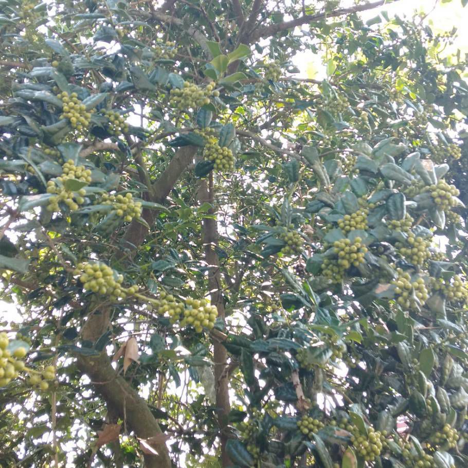 20191010_314959_1570712668243.jpg