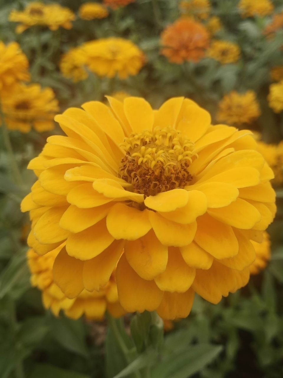 20191010_297015_1570716558563.jpg