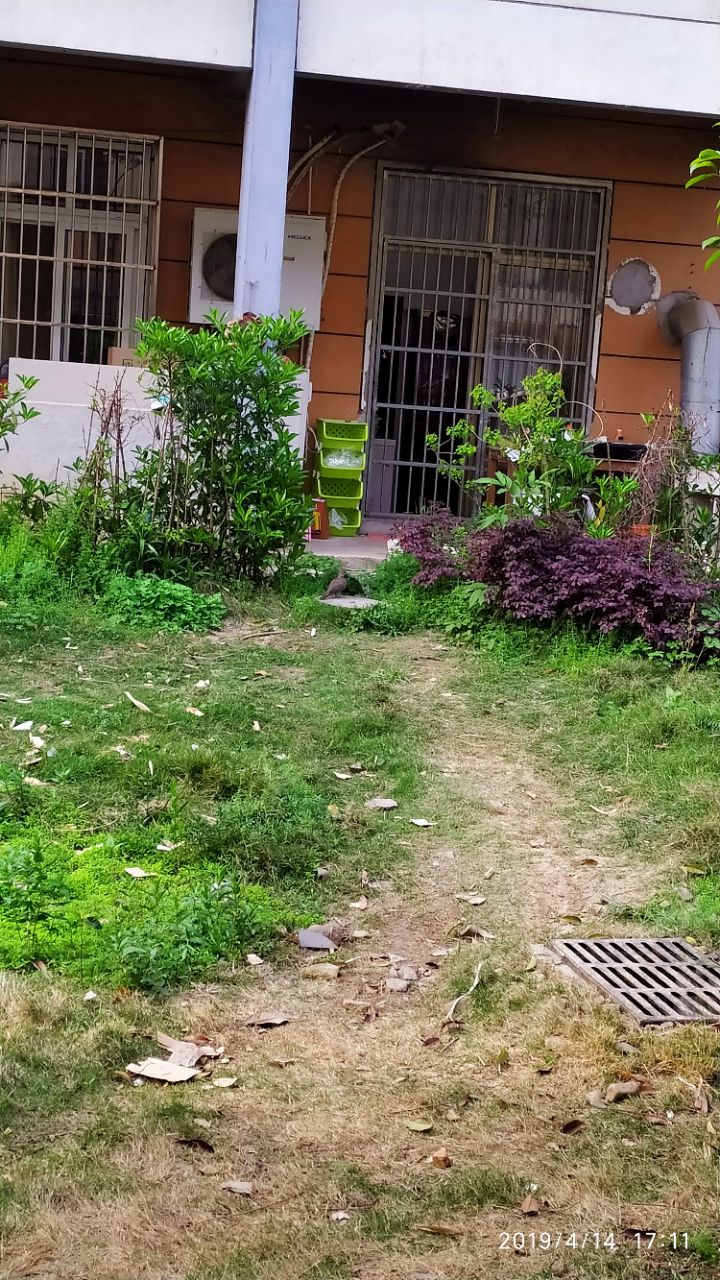 20191011_261775_1570768152962.jpg