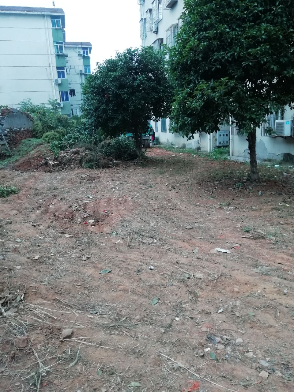 20191012_282885_1570875942216.jpg