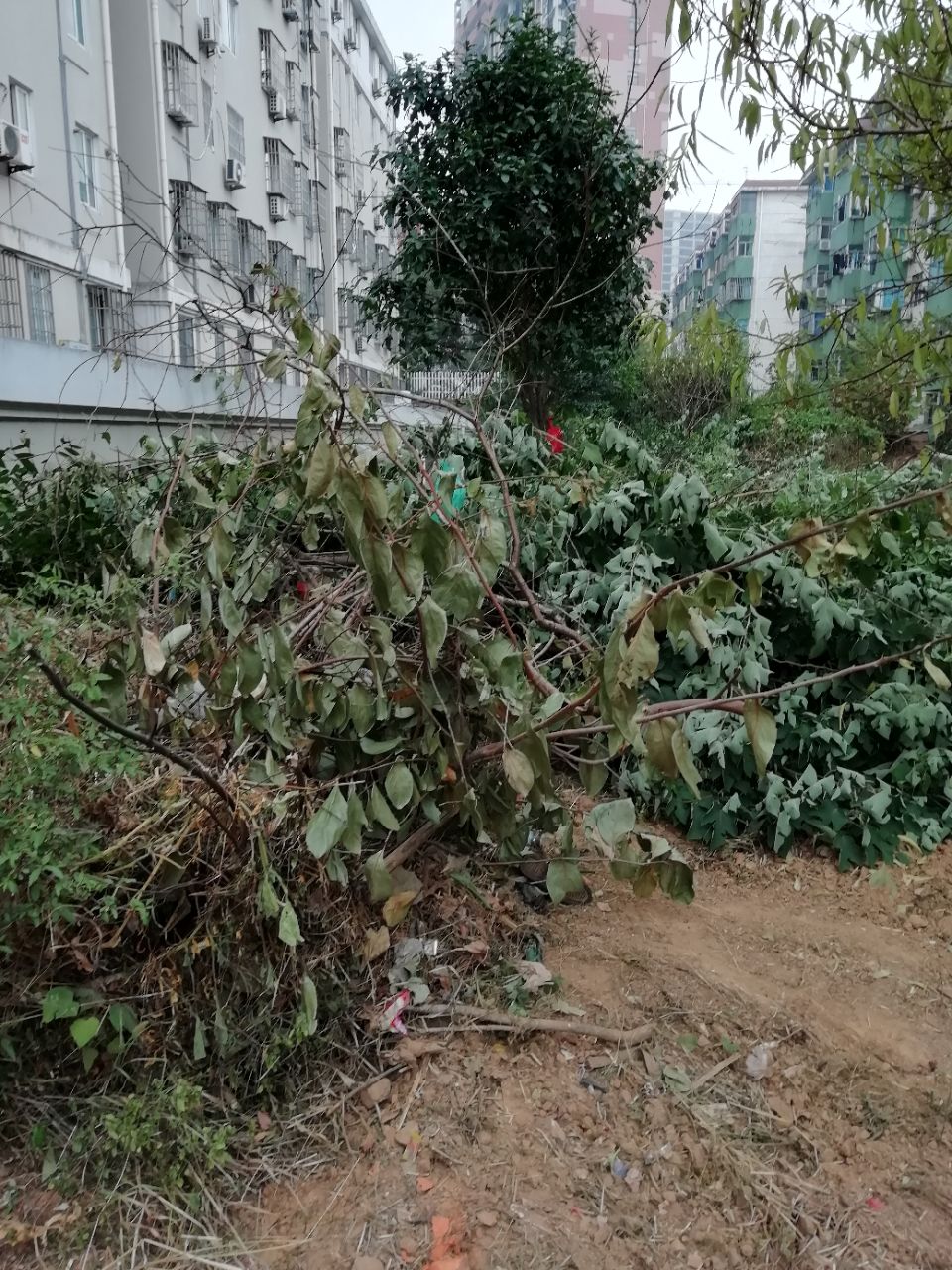 20191012_282885_1570875941739.jpg