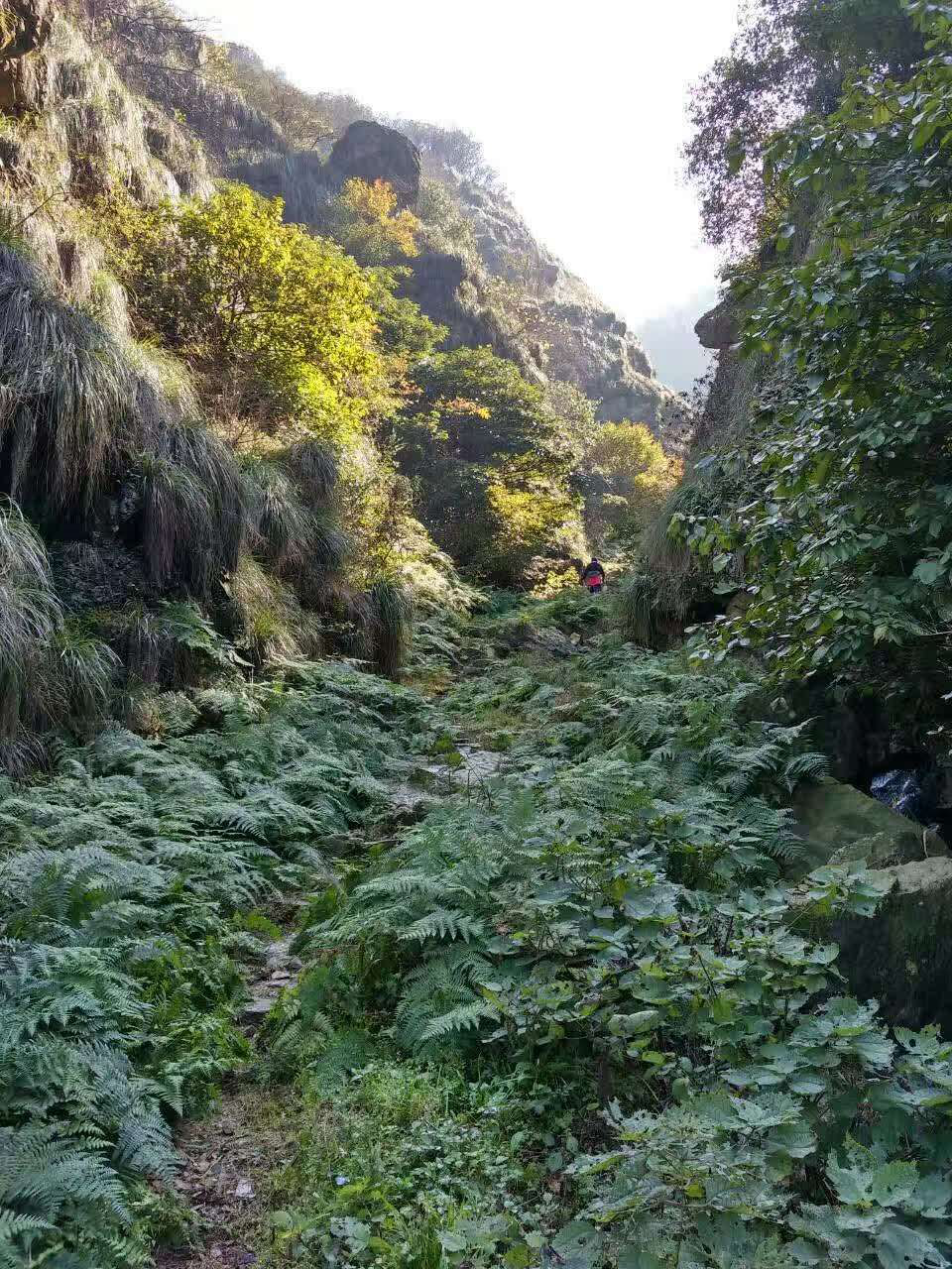 20191022_277401_1571708869147.png