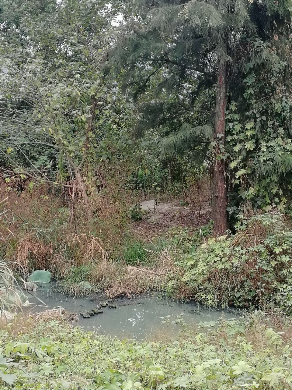 20191027_296610_1572168720846.jpg