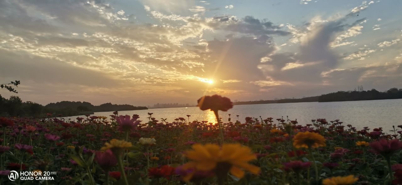 20191102_198517_1572648630708.jpg