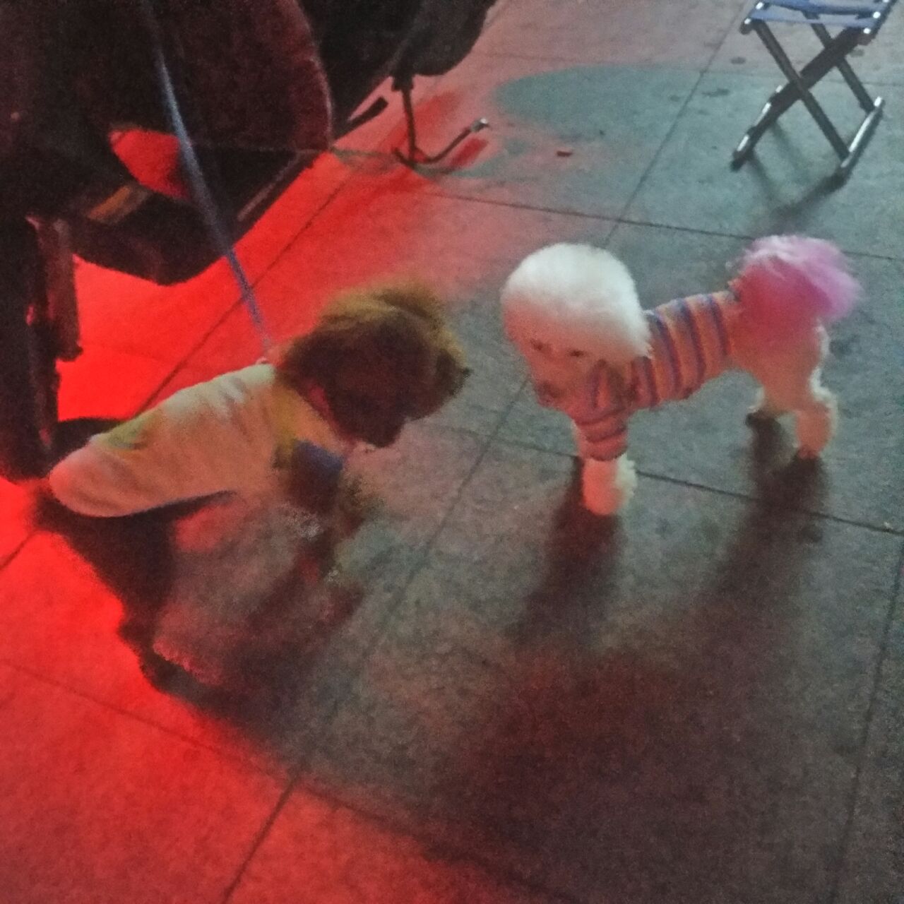 20191111_290263_1573480025335.jpg