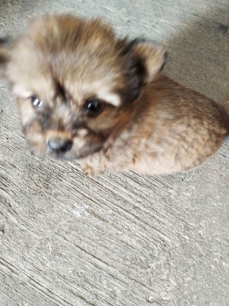 20191115_307074_1573787763363.jpg
