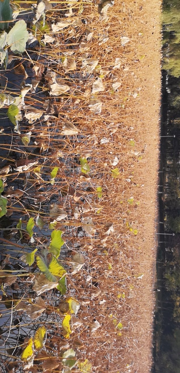 20191116_307554_1573886601788.jpg
