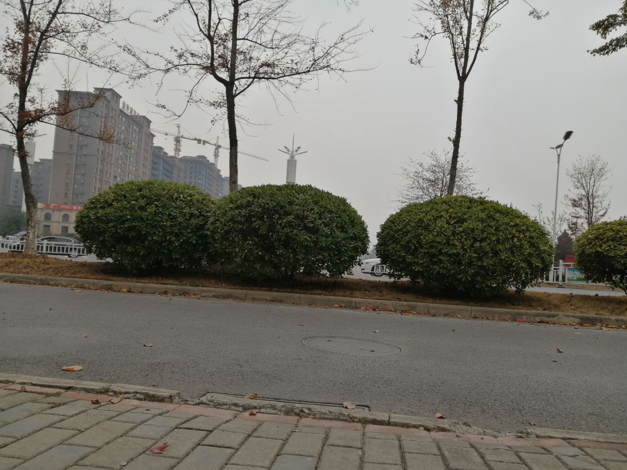20191125_329737_1574611597736.jpg