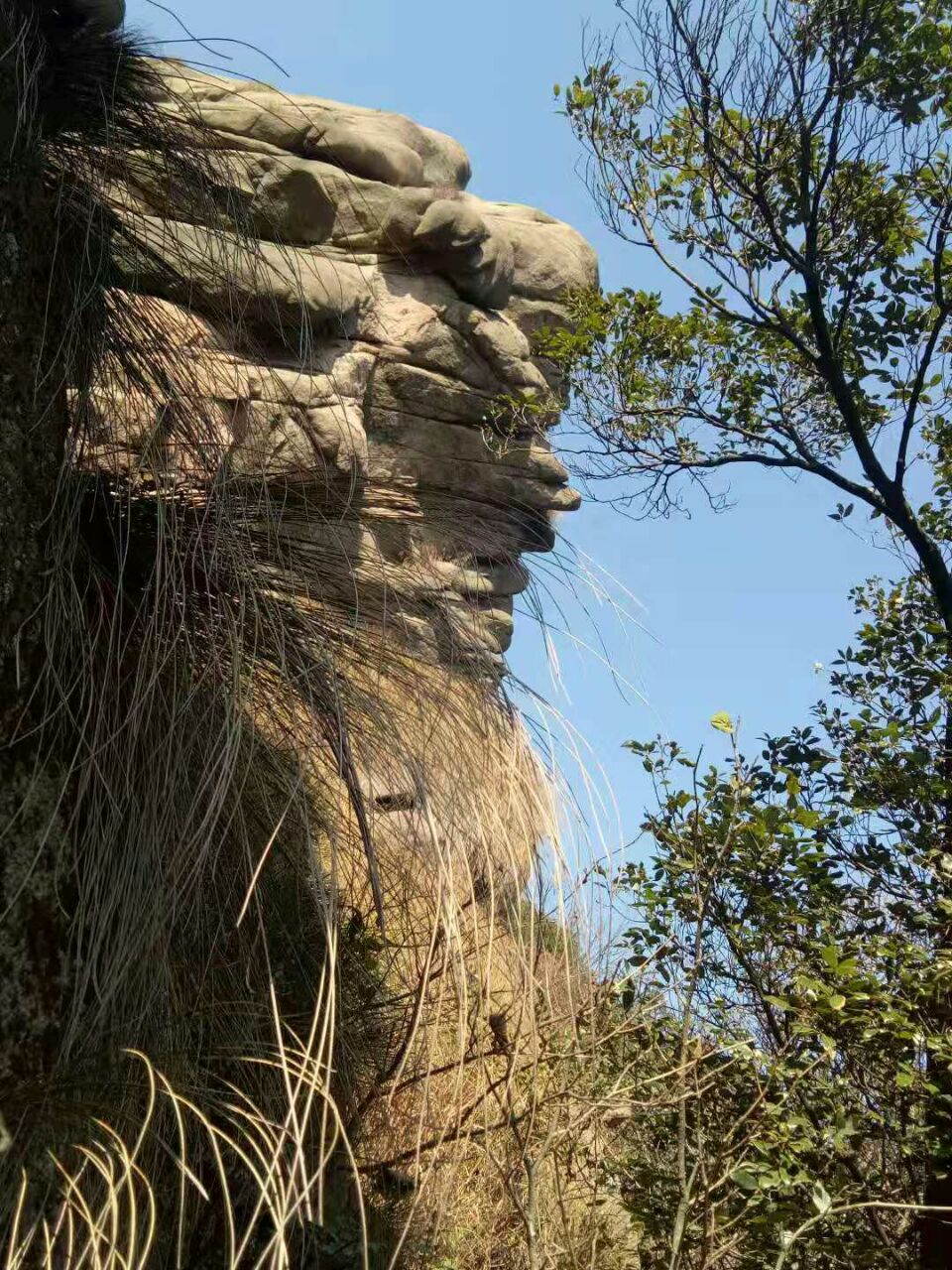 20191127_269525_1574869646267.jpg
