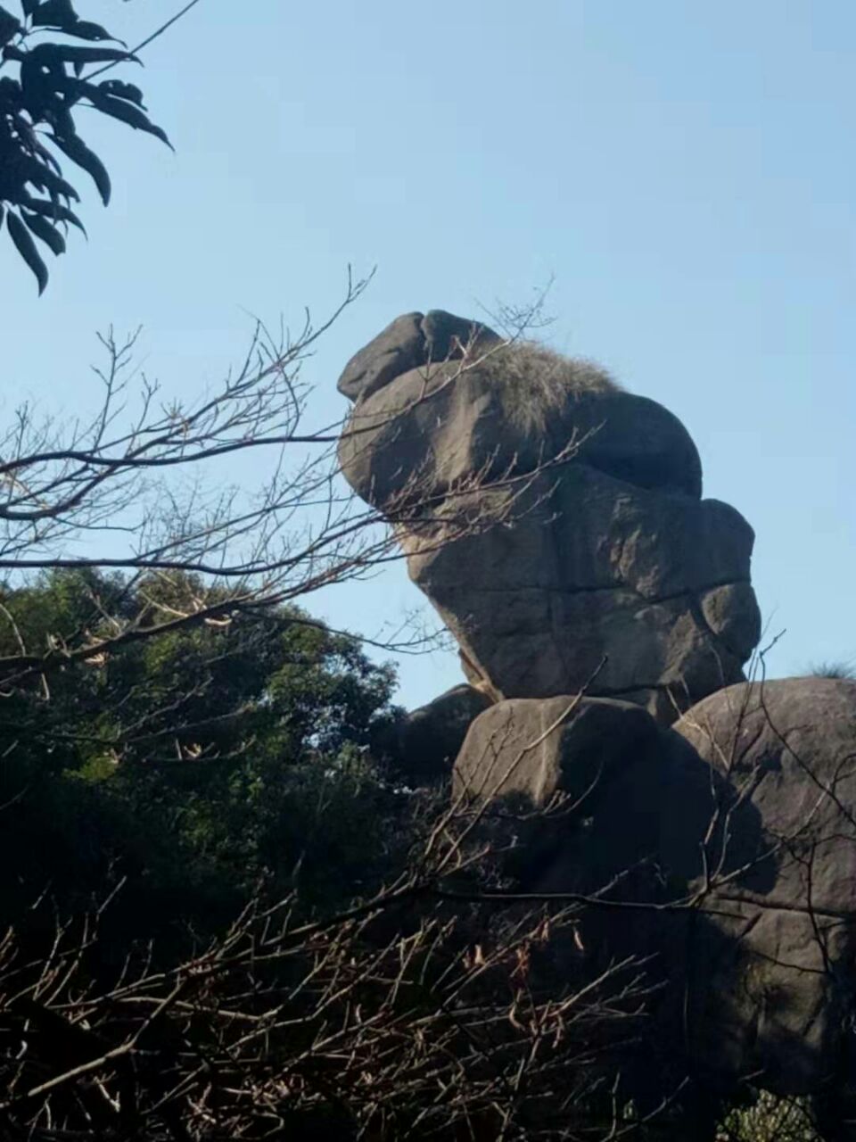 20191127_269525_1574869646621.jpg