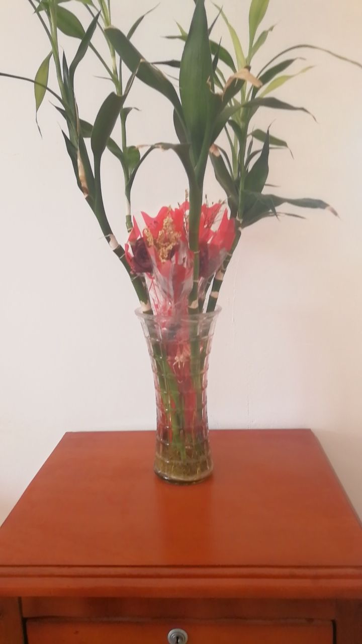 20191208_329997_1575786308974.jpg