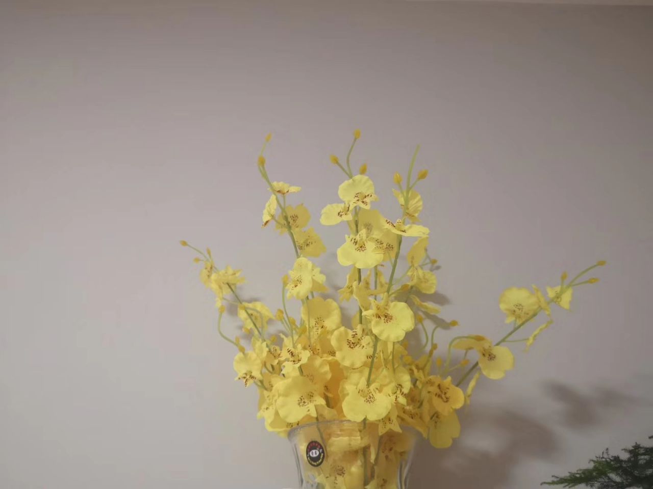 20191219_295776_1576763189763.jpg