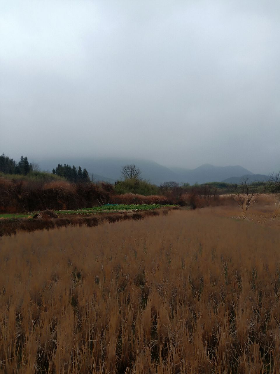 20191221_14383_1576914129599.jpg