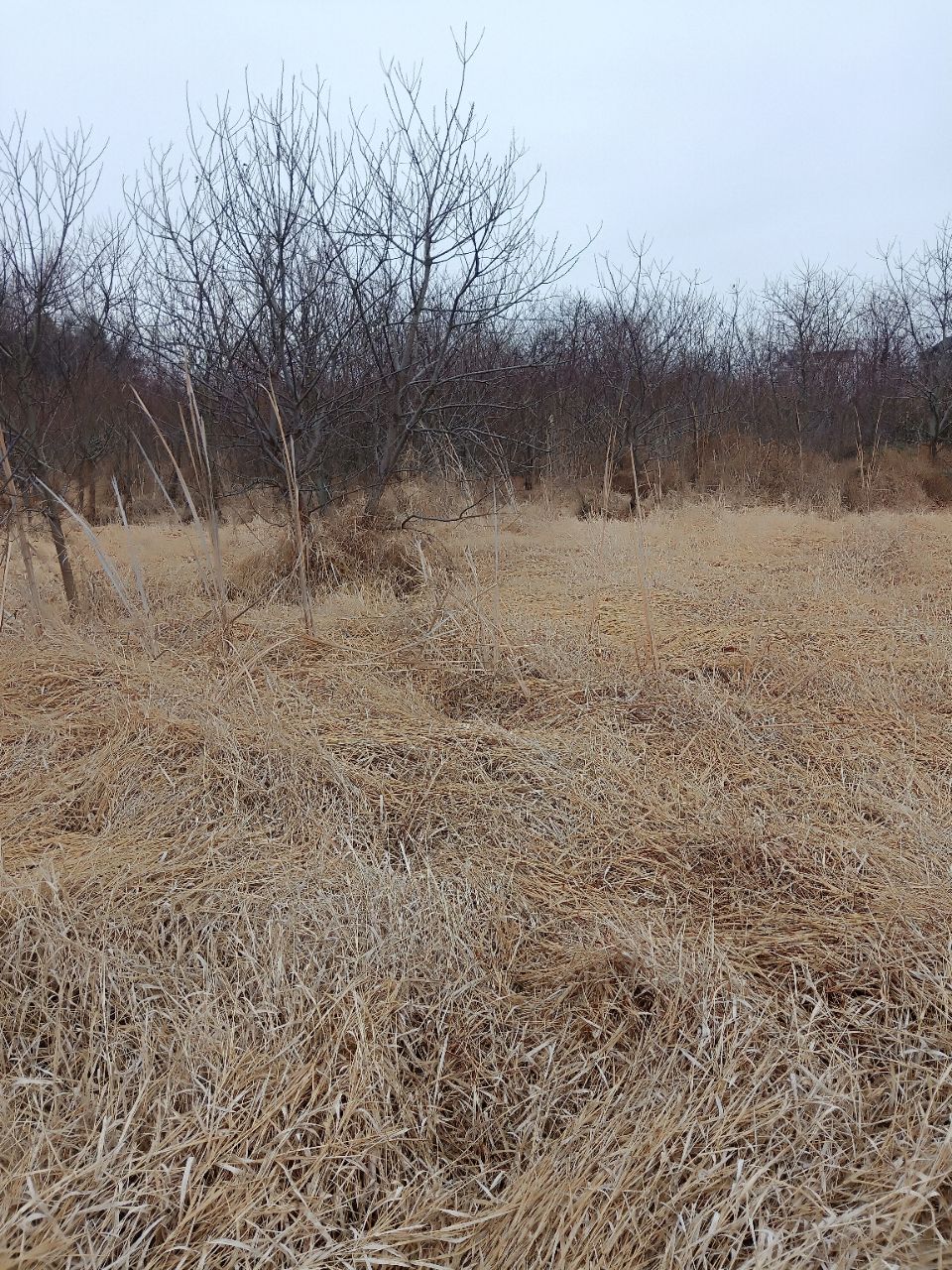 20191221_14383_1576914130309.jpg