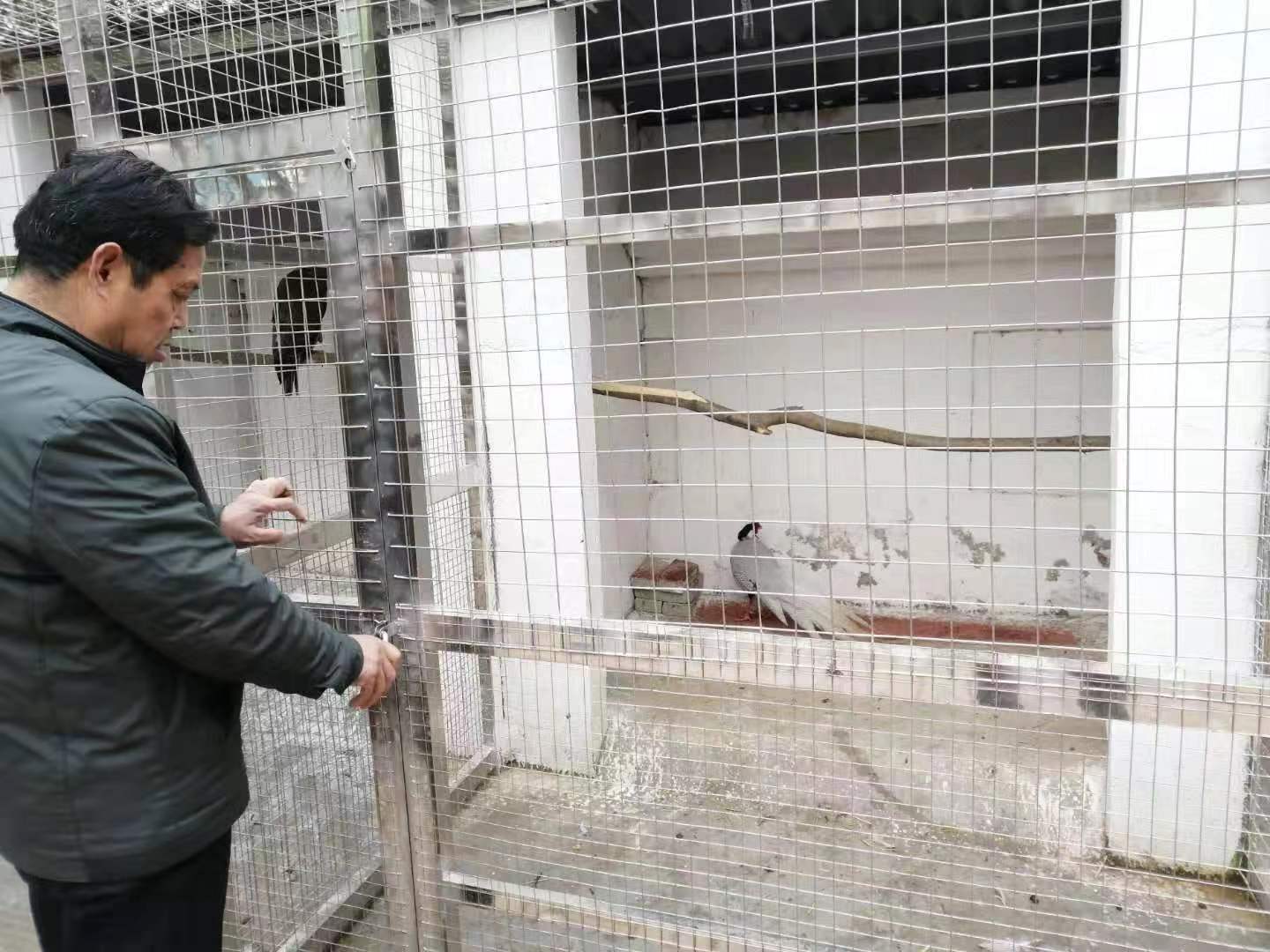 webwxgetmsgimg (1).jpg