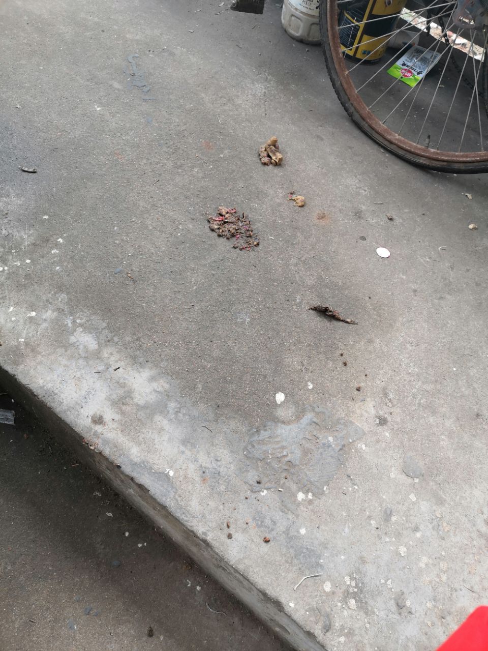 20191230_292421_1577673658466.jpg