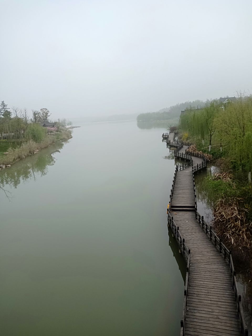 20200116_325807_1579149629495.jpg